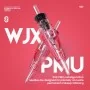 Aiguille Maquillage Permanent PMU - 20 pcs - WJX