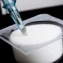 Cups mousse par 20 - Absorption encre - Foam Cup