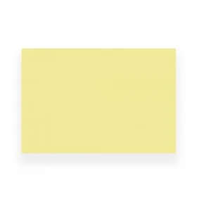 Peau entrainement XL Skintrain - 30x20cm 