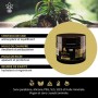 BLACK MASTANG - NO PAIN PRO | Beurre de Tatouage Professionnel Vegan au CBD (150 ml)