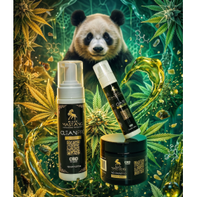 Pack "Zen & Chill" by Black Mastang