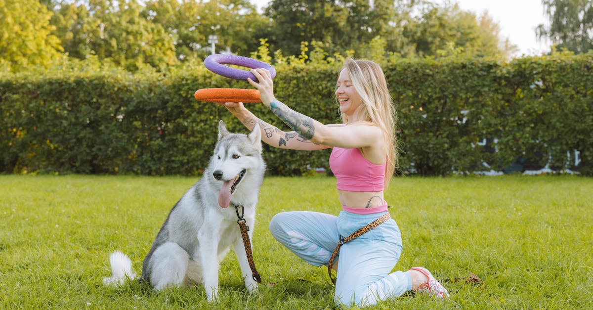 découvrez l'univers fascinant des tattoos pour animaux de compagnie ! que vous soyez passionné par les chiens, les chats ou d'autres animaux, explorez des idées de tatouages uniques, des significations et des inspirations pour honorer vos compagnons à quatre pattes.
