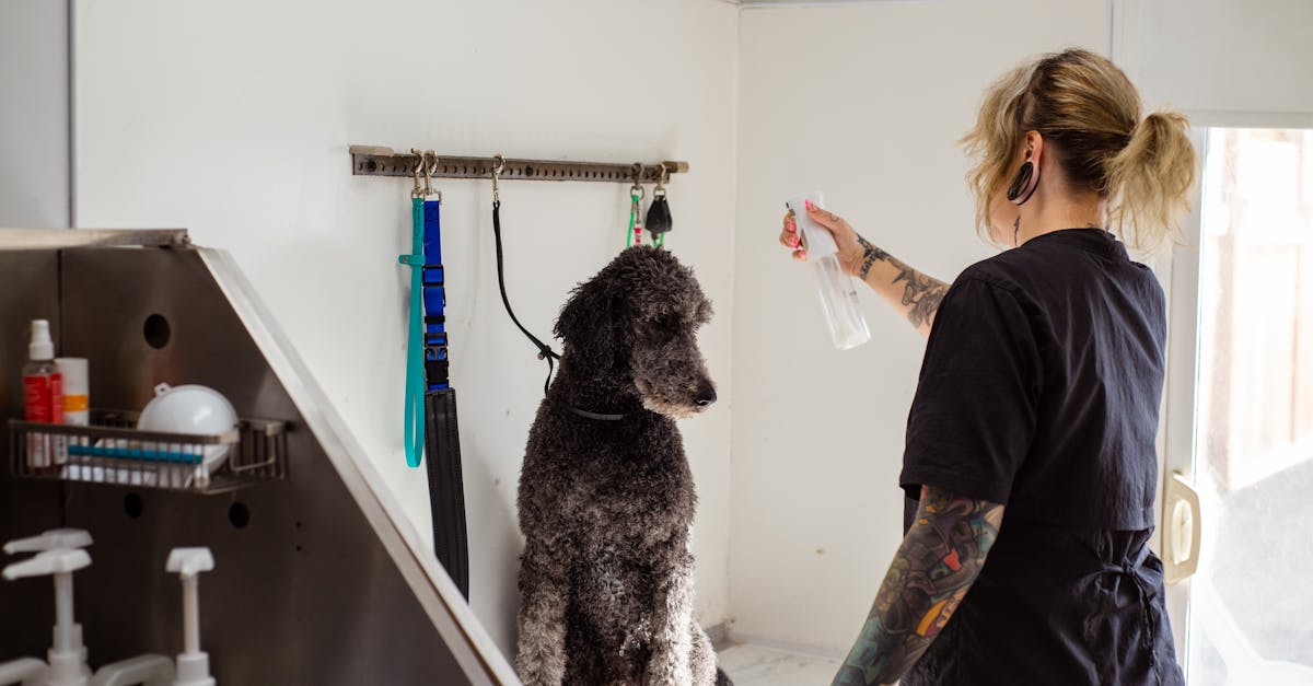 découvrez une collection unique de tatouages d'animaux, inspirés par la nature et la faune. exprimez votre personnalité à travers des designs artistiques qui célèbrent la beauté du règne animal. que vous soyez passionné par les félins, les oiseaux ou les créatures marines, trouvez l'inspiration pour votre prochain tatouage.