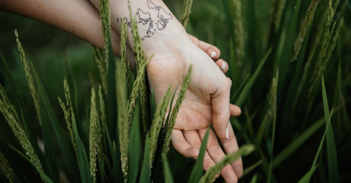 découvrez la signification profonde des tattoos 'life' et trouvez l'inspiration pour votre prochain tatouage unique, symbole de vitalité, de force ou de renaissance.