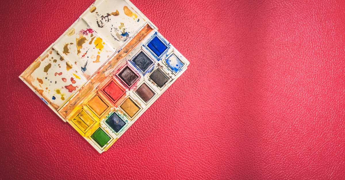découvrez tout sur les pigments : leurs origines, utilisations en art, leur rôle en coloration, et comment ils influencent la création de couleurs éclatantes dans différents domaines.