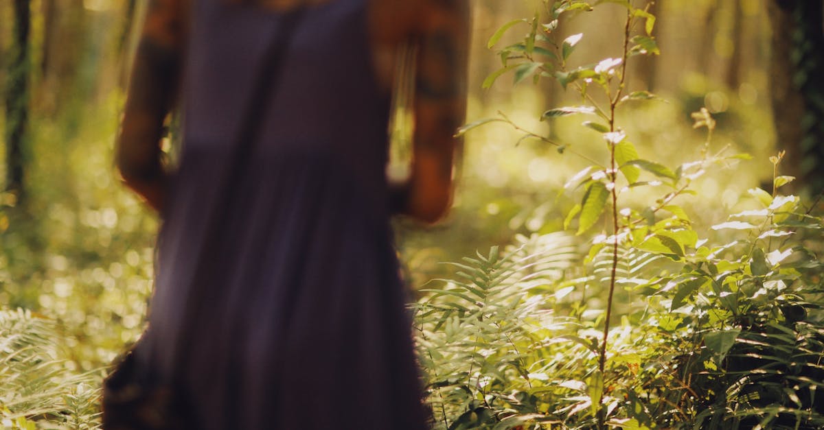 découvrez le charme naturel des tatouages foliage : motifs de feuilles, branches et plantes pour un style élégant et poétique. inspirez-vous de nos idées originales pour sublimer votre peau avec la beauté de la nature.