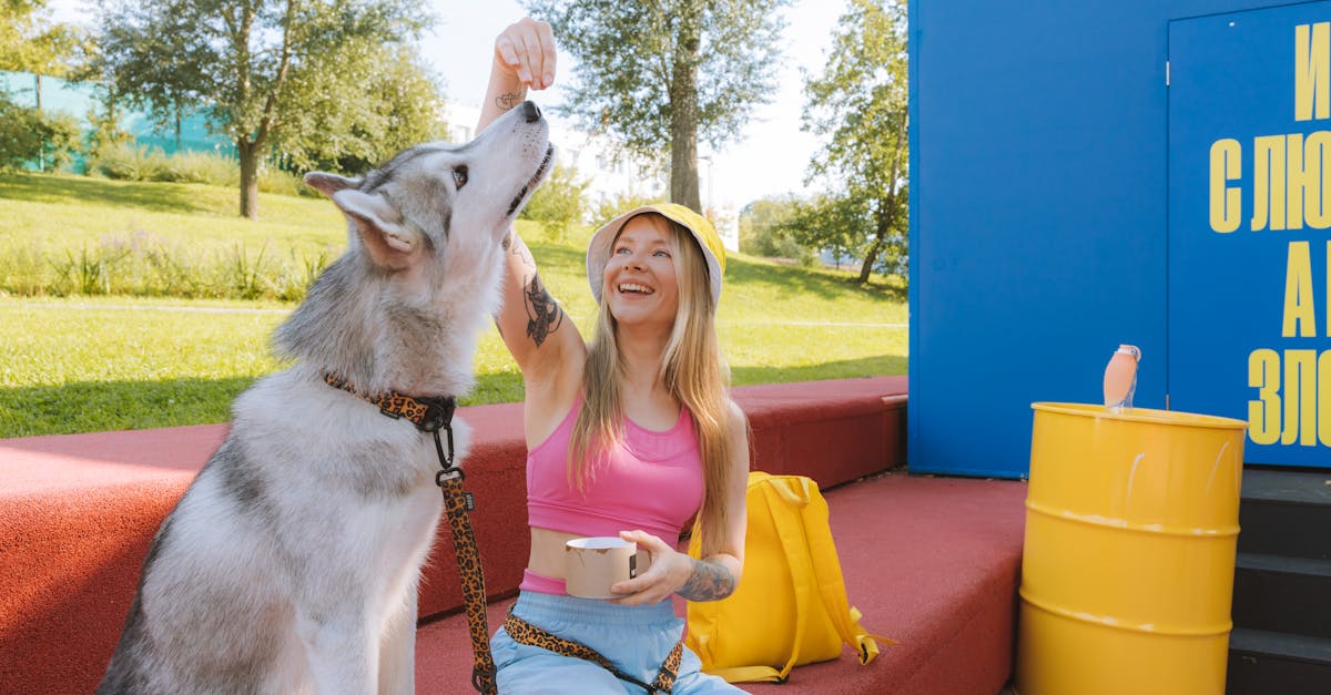 découvrez les tatouages d'animaux réalistes : des œuvres d'art uniques qui capturent la beauté et les détails saisissants de vos animaux préférés. inspiration et conseils pour choisir un tatouage animalier réaliste.