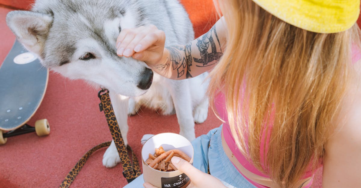 découvrez nos inspirations de tatouages d’animaux, symbolisant force, liberté ou fidélité. trouvez le design parfait pour exprimer votre personnalité à travers l’art du tattoo animalier.