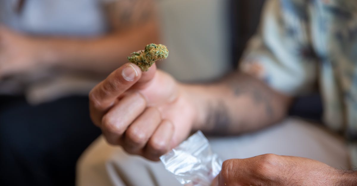 découvrez la signification et les styles des tatouages de fleurs : idées, inspirations et conseils pour choisir le motif floral parfait pour votre tatouage.