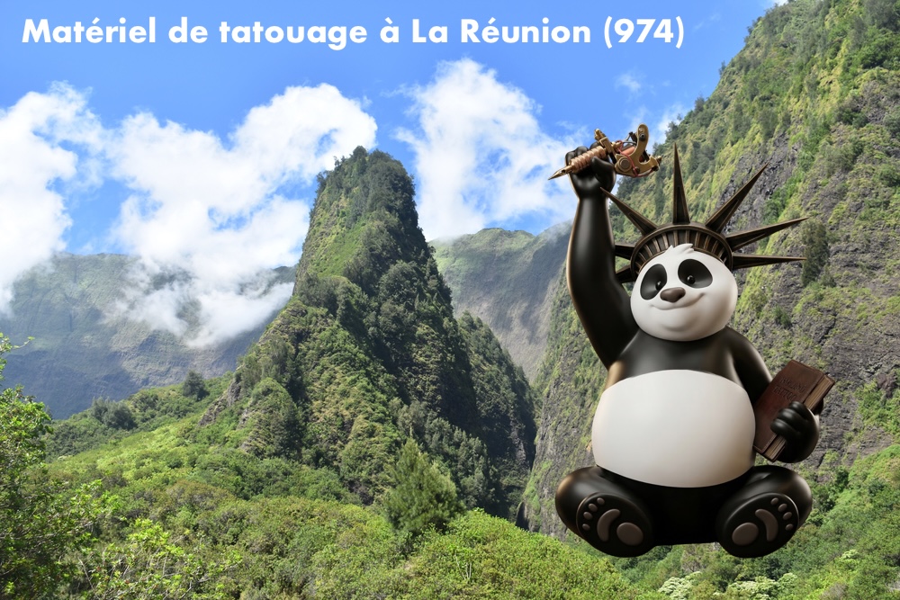 Matériel de tatouage La Réunion (974) | Fournisseur & Livraison rapide