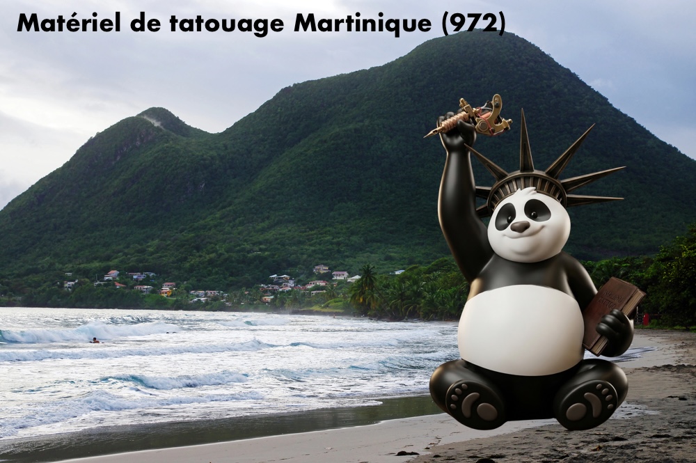 Matériel de tatouage Martinique (972) | Fournisseur & Livraison
