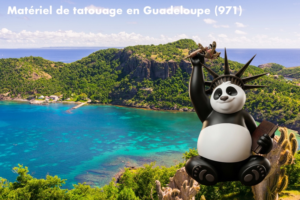 Matériel de tatouage Guadeloupe (971) | Fournisseur & Livraison